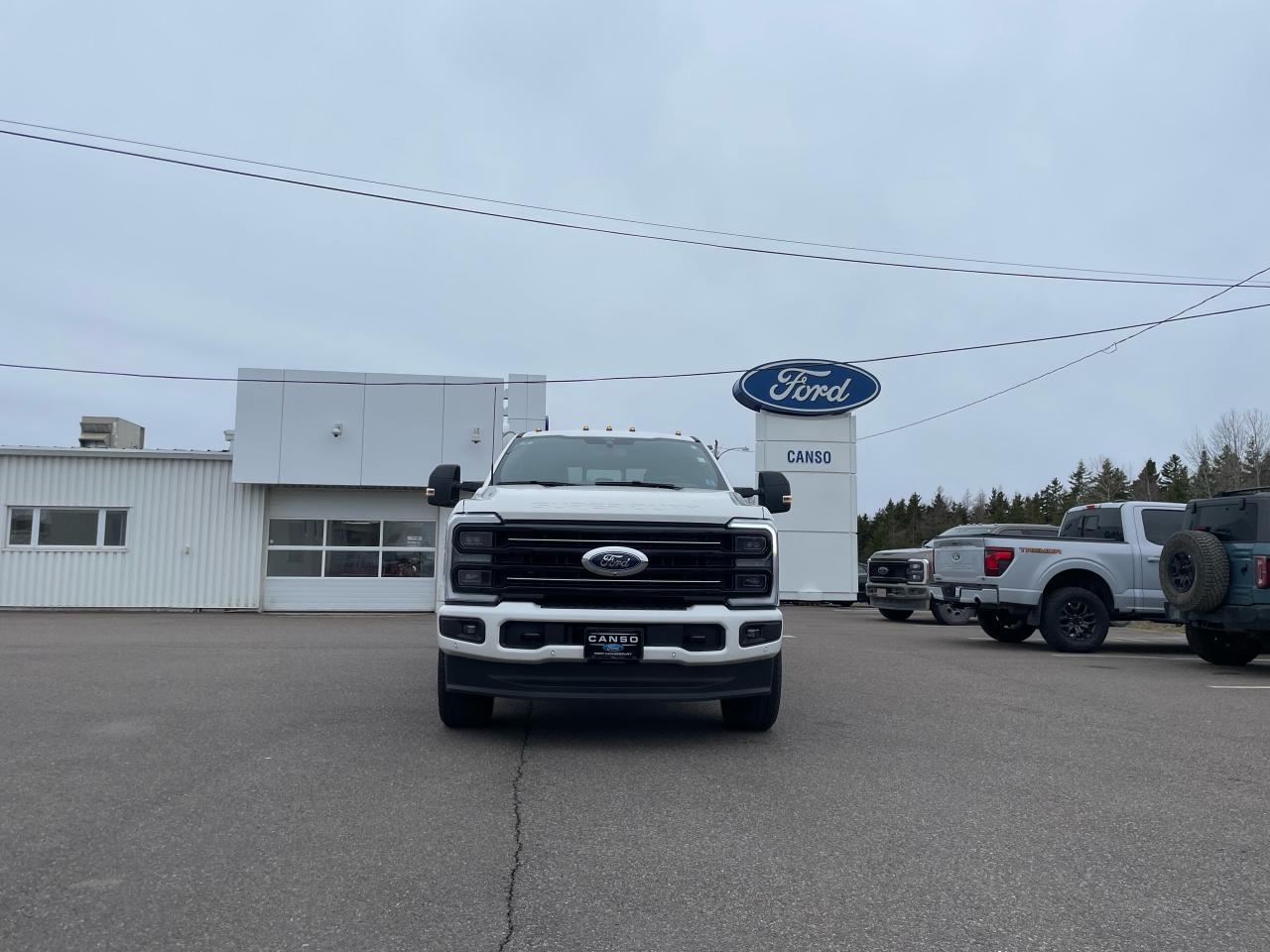 2025 Ford F-250 Super Duty SRW PLATINUM 4WD CREW CAB 6.75' BOX Photo