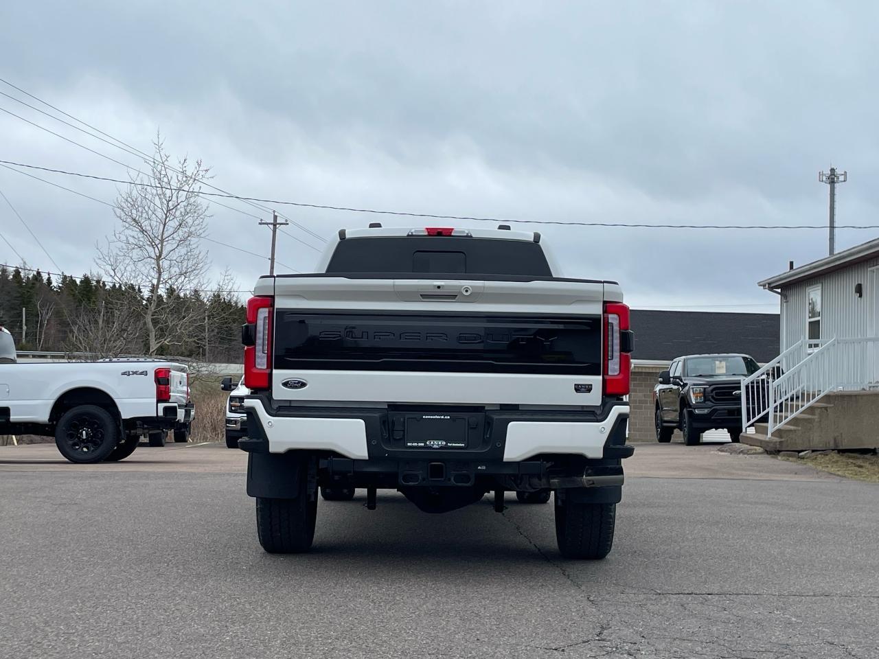 2025 Ford F-250 Super Duty SRW PLATINUM 4WD CREW CAB 6.75' BOX Photo5