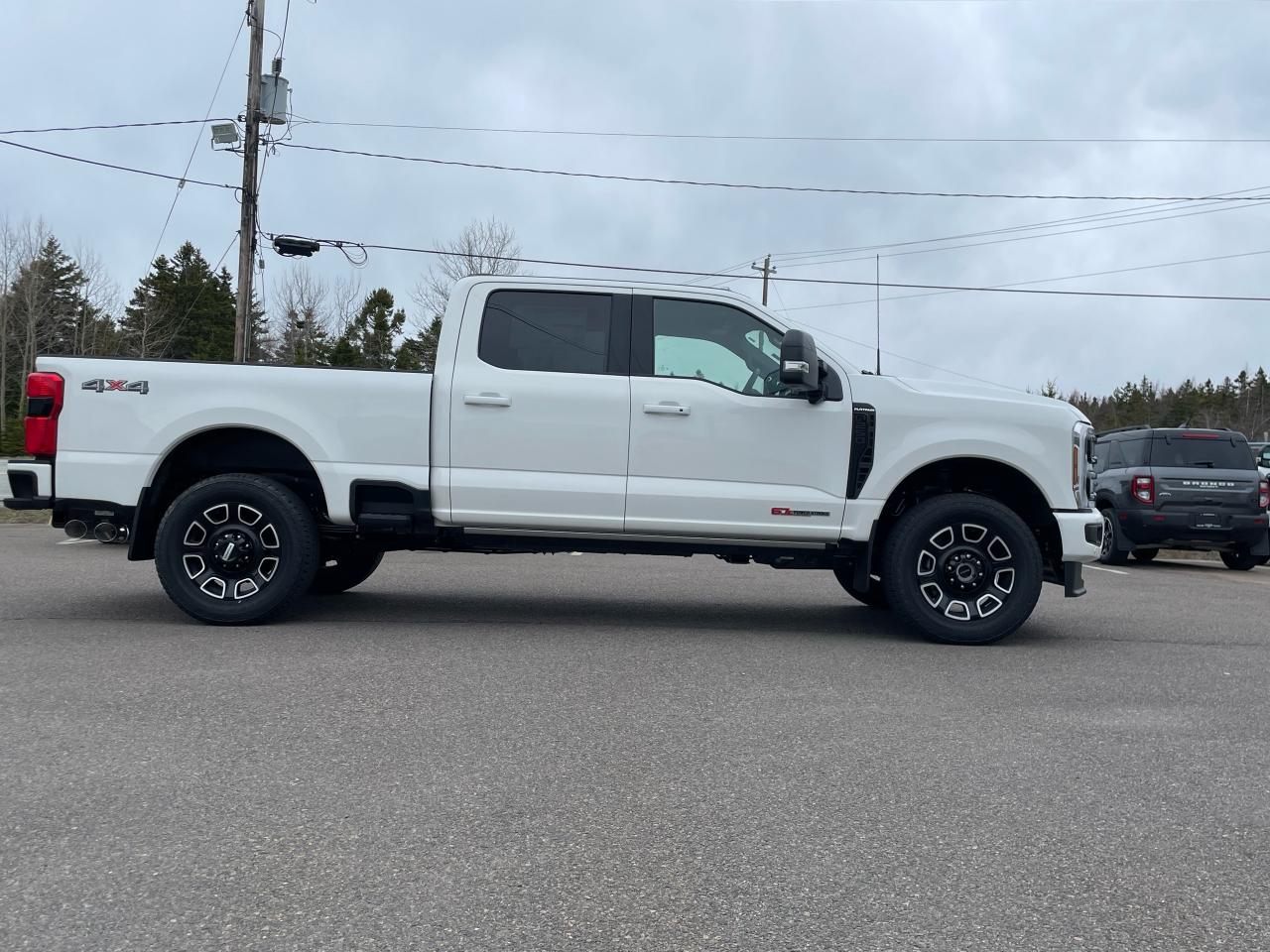 2025 Ford F-250 Super Duty SRW PLATINUM 4WD CREW CAB 6.75' BOX Photo3