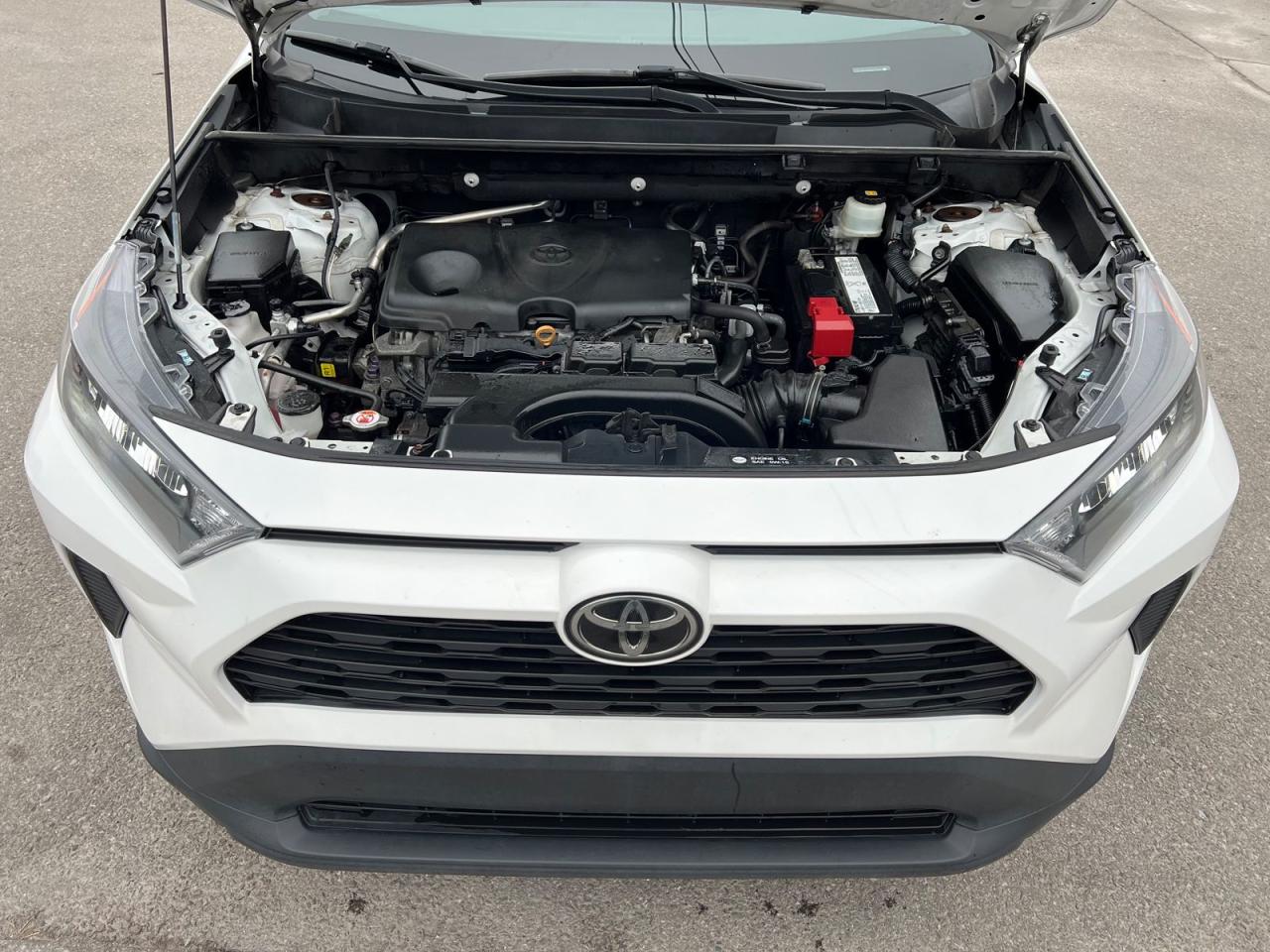 2019 Toyota RAV4 LE - Photo #6