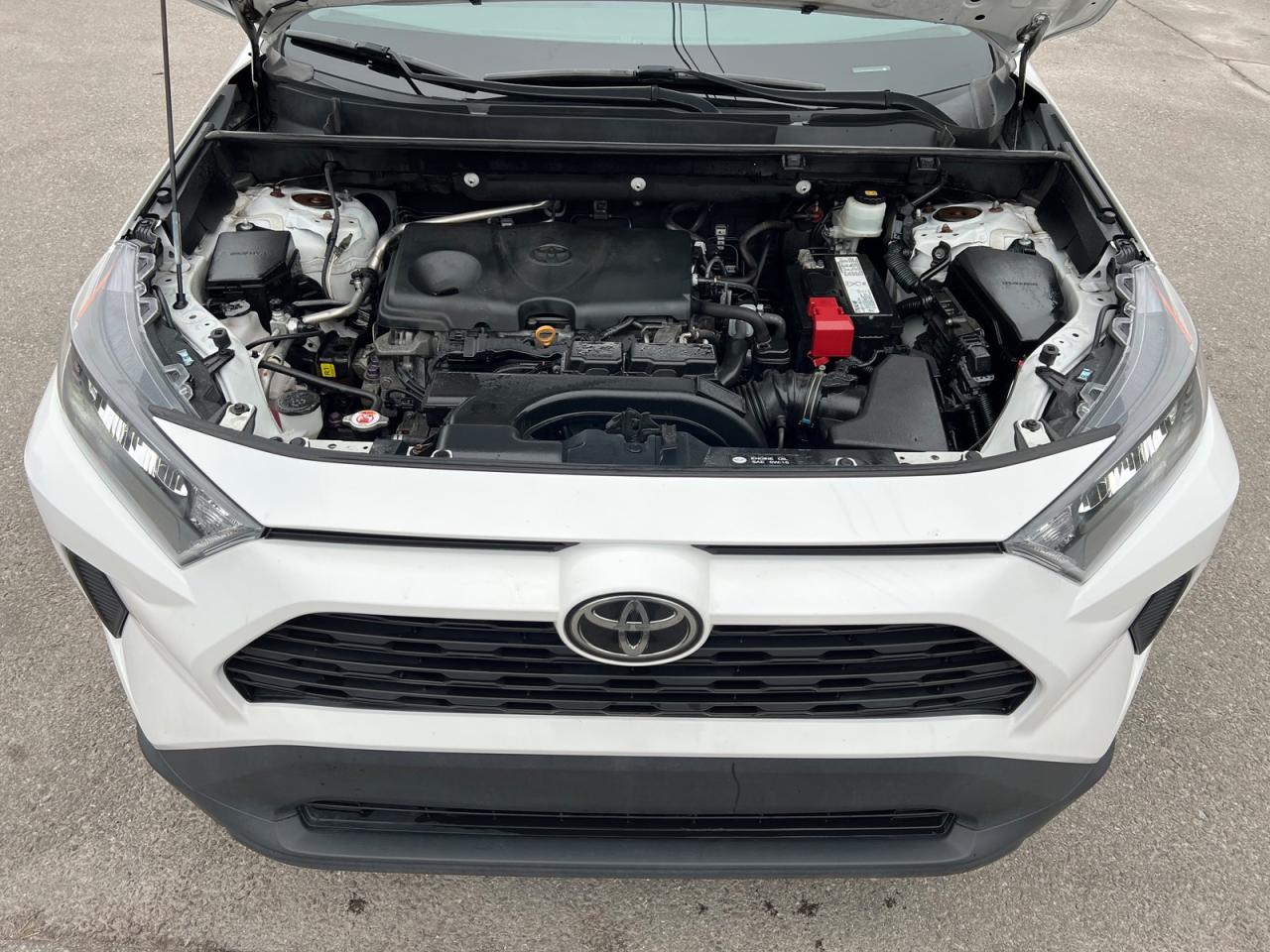 2019 Toyota RAV4 LE - Photo #6