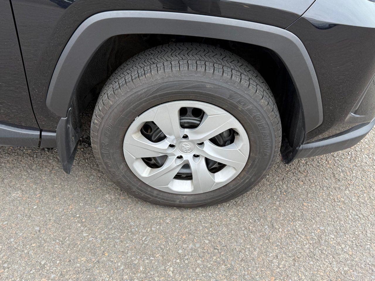 2023 Toyota RAV4 LE Photo3