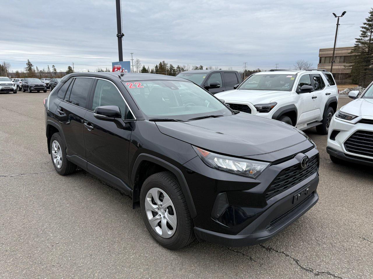 2023 Toyota RAV4 LE Photo