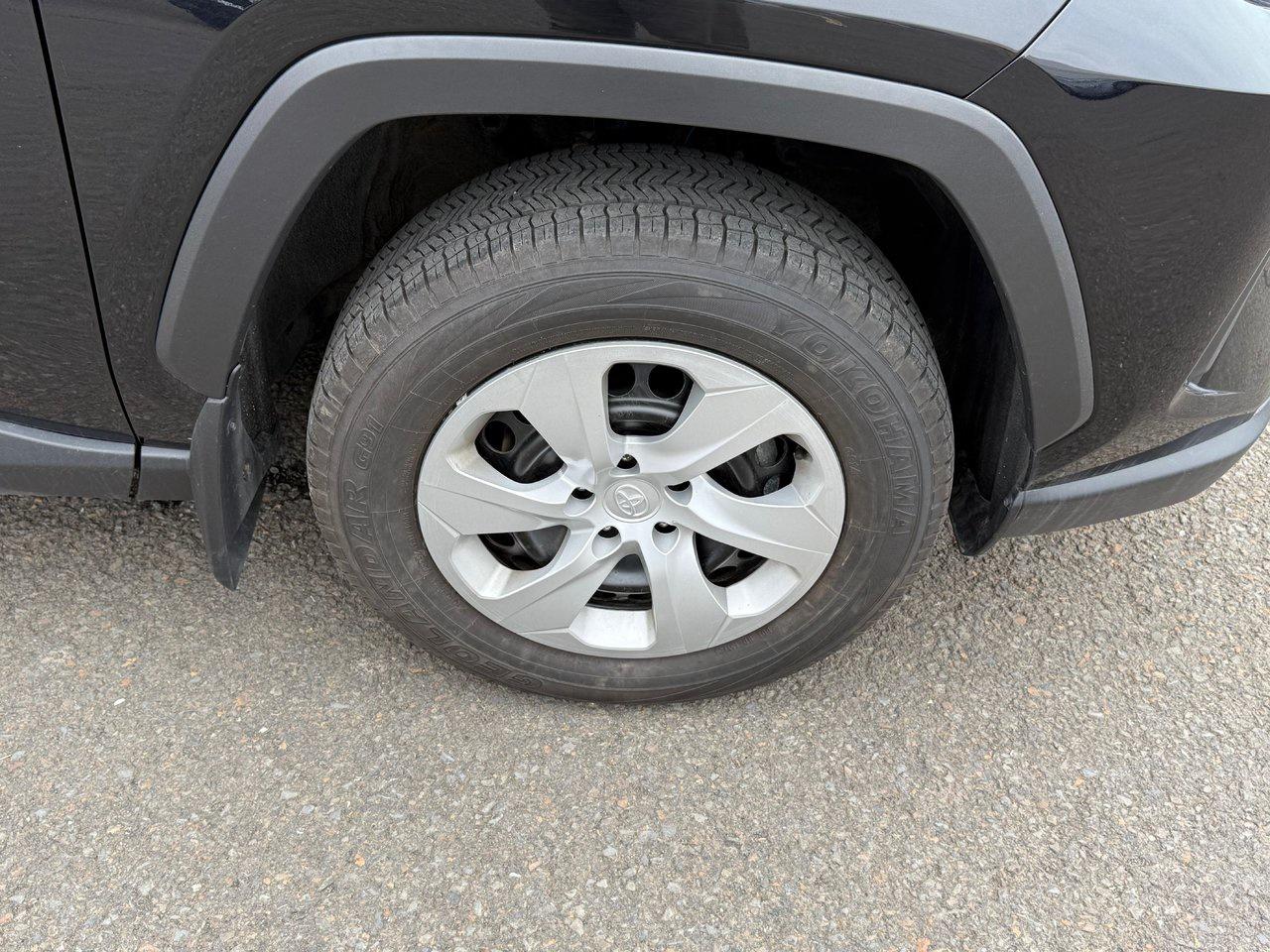 2023 Toyota RAV4 LE Photo3