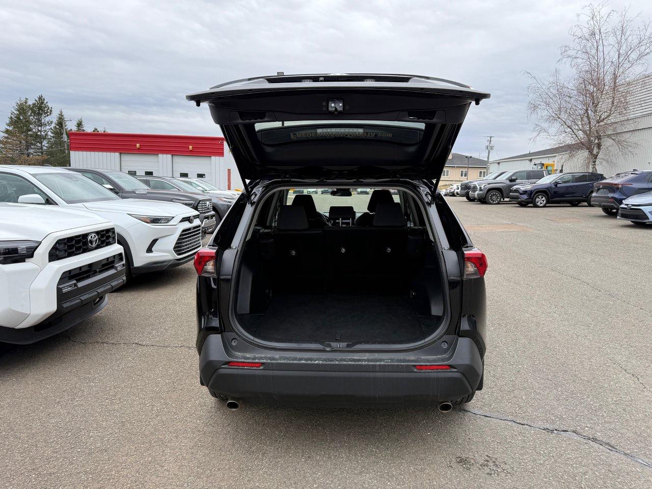 2023 Toyota RAV4 LE Photo
