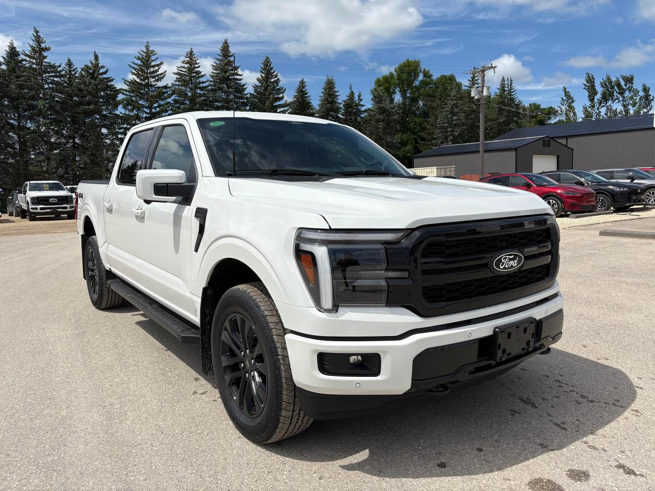 2025 Ford F-150 Lariat 4WD SuperCrew 5.5' Box Photo3