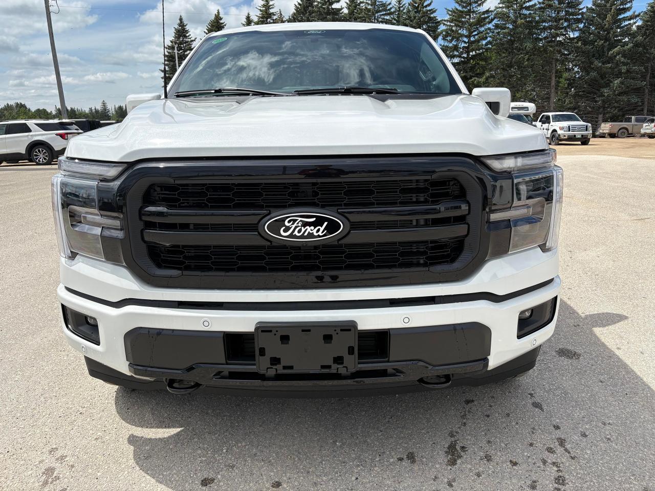 2025 Ford F-150 Lariat 4WD SuperCrew 5.5' Box Photo2