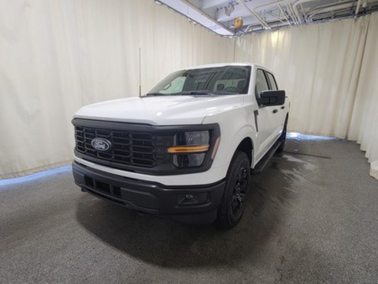 New 2025 Ford F-150 STX W/ REAR VIEW CAMERA for sale in Regina, SK