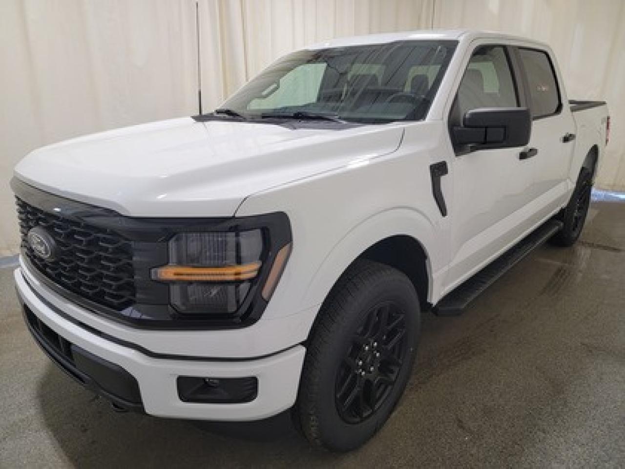 New 2025 Ford F-150 STX W/ REAR VIEW CAMERA for sale in Regina, SK