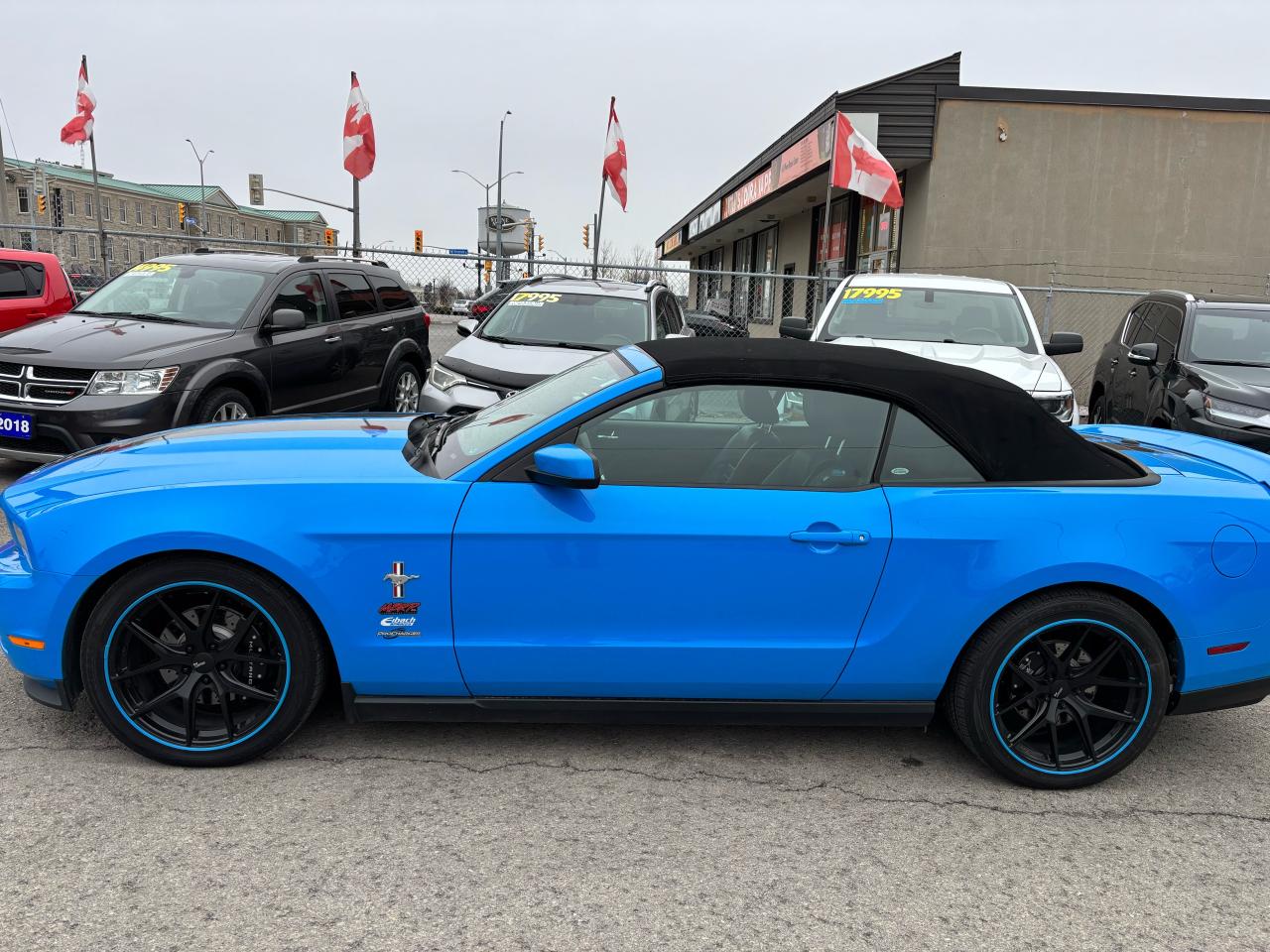 2011 Ford Mustang V6, Convertible, with ProCharger Supercharger - Photo #6