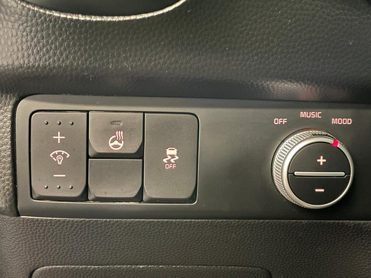 2019 Kia Soul EX+Camera+ApplePlay+Hetaed Steering+CLEAN CARFAX - Photo #3