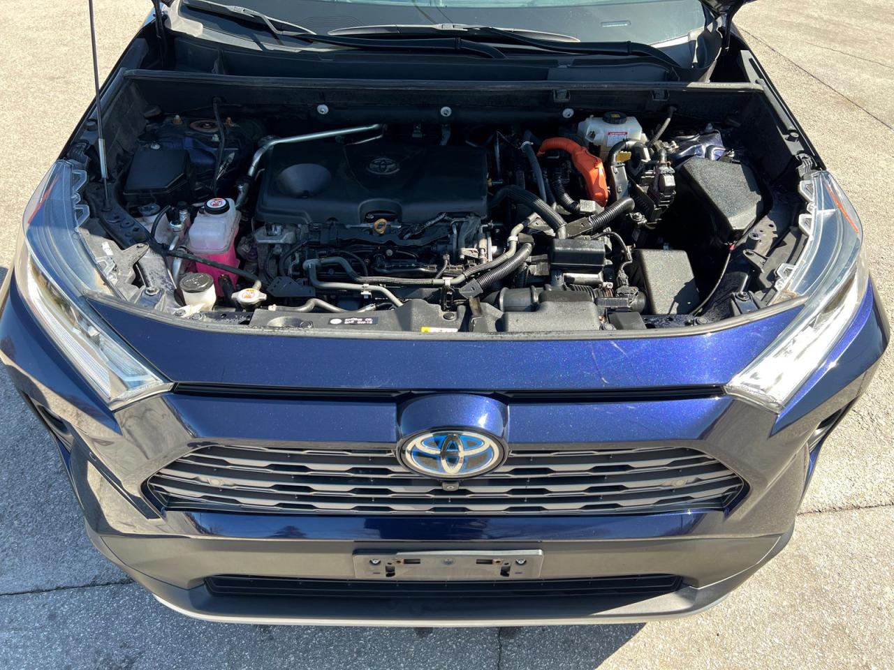 2019 Toyota RAV4 Hybrid Limited - Photo #6