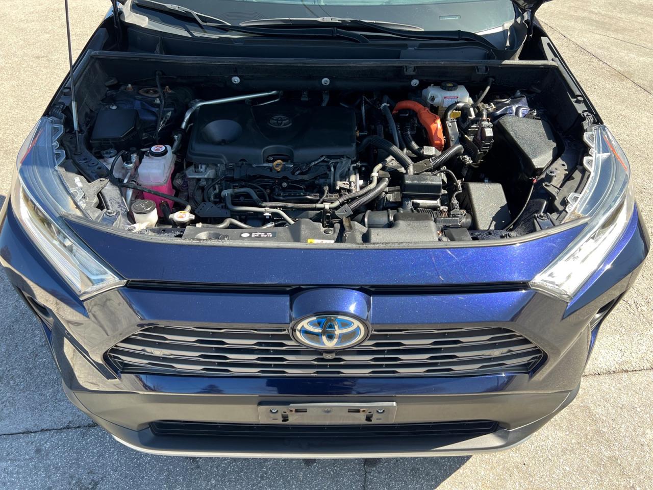 2019 Toyota RAV4 Hybrid Limited - Photo #6