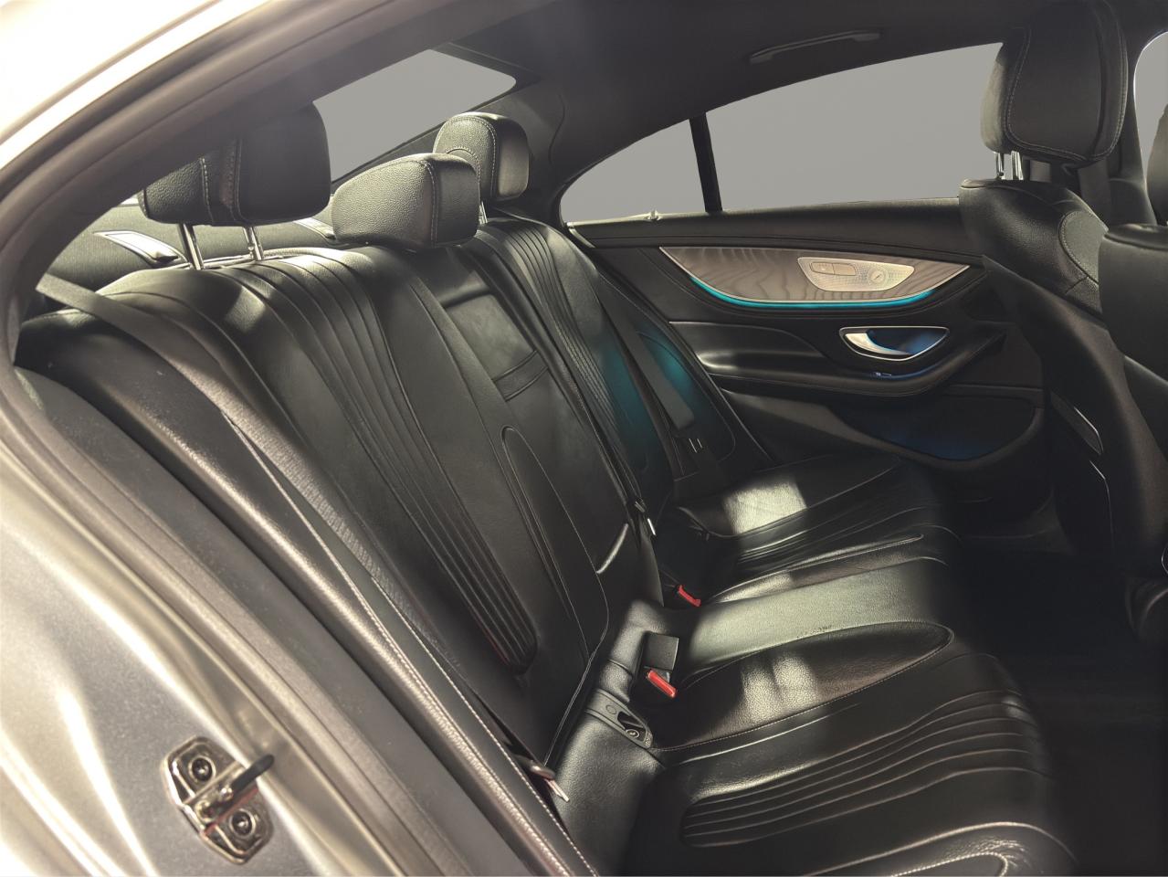 2019 Mercedes-Benz CLS-Class CLS450 4MATIC - Photo #16