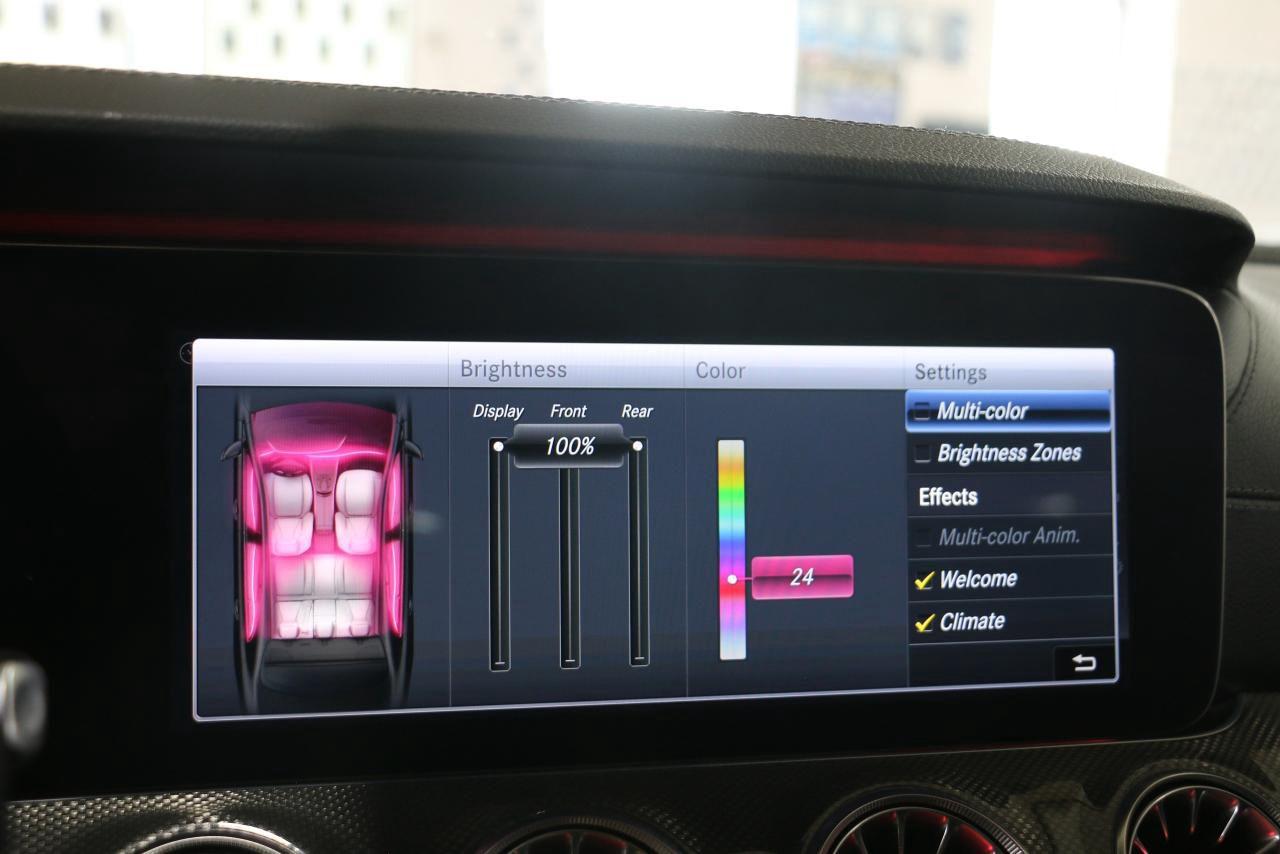 2019 Mercedes-Benz CLS-Class CLS450 4MATIC - AMGPKG|NAVI|360CAM|BLINDSPOT - Photo #21