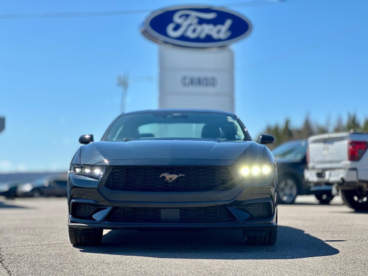 2025 Ford Mustang EcoBoost Premium Fastback Photo1