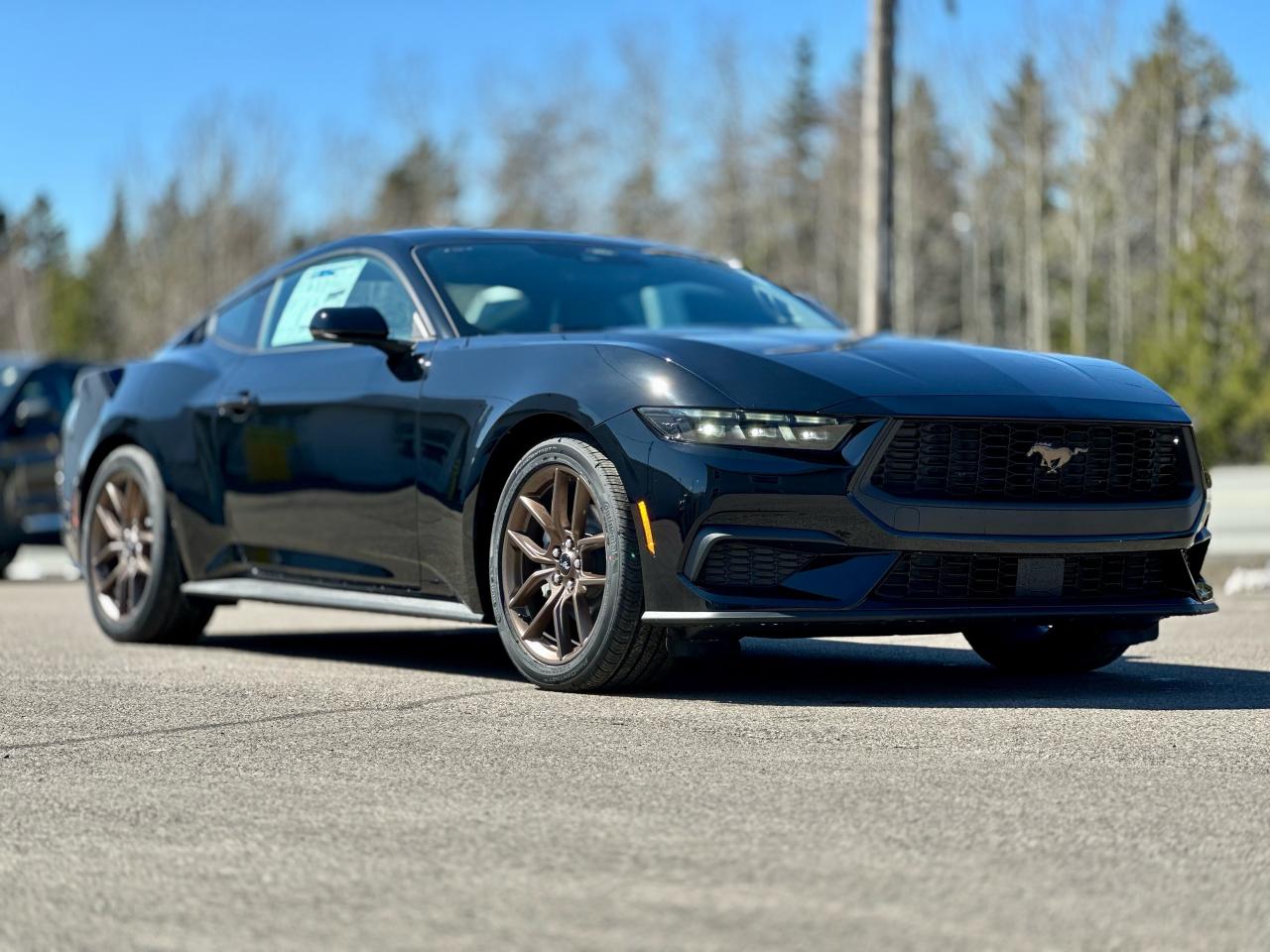 2025 Ford Mustang EcoBoost Premium Fastback Photo5