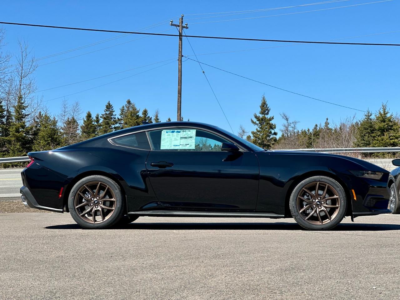 2025 Ford Mustang EcoBoost Premium Fastback Photo5