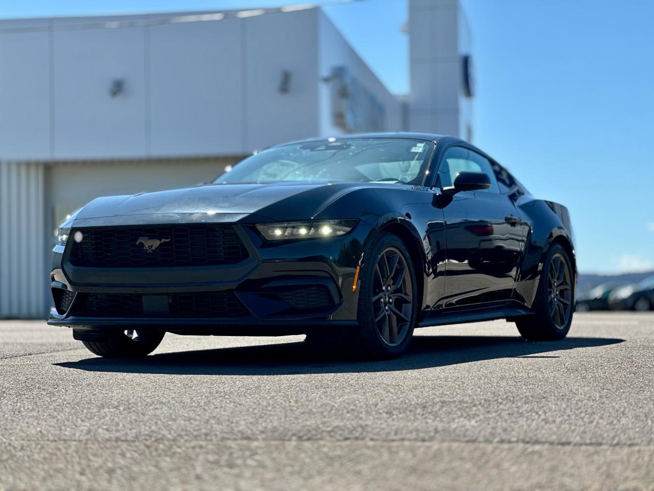 2025 Ford Mustang EcoBoost Premium Fastback Photo2