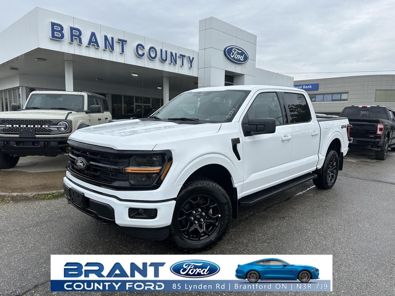 2025 Ford F-150 XLT Photo0