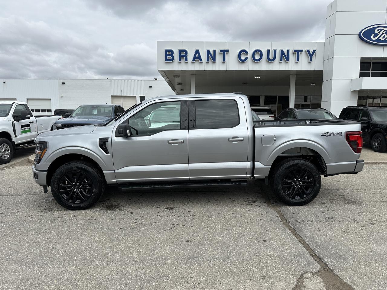 2025 Ford F-150 XLT Photo4