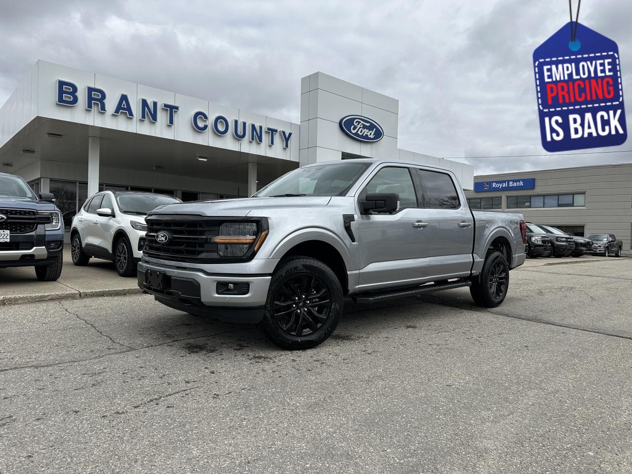 New 2025 Ford F-150 XLT for sale in Brantford, ON