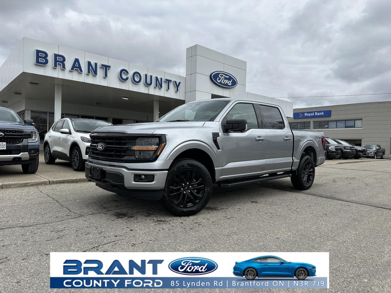 2025 Ford F-150 XLT Photo0