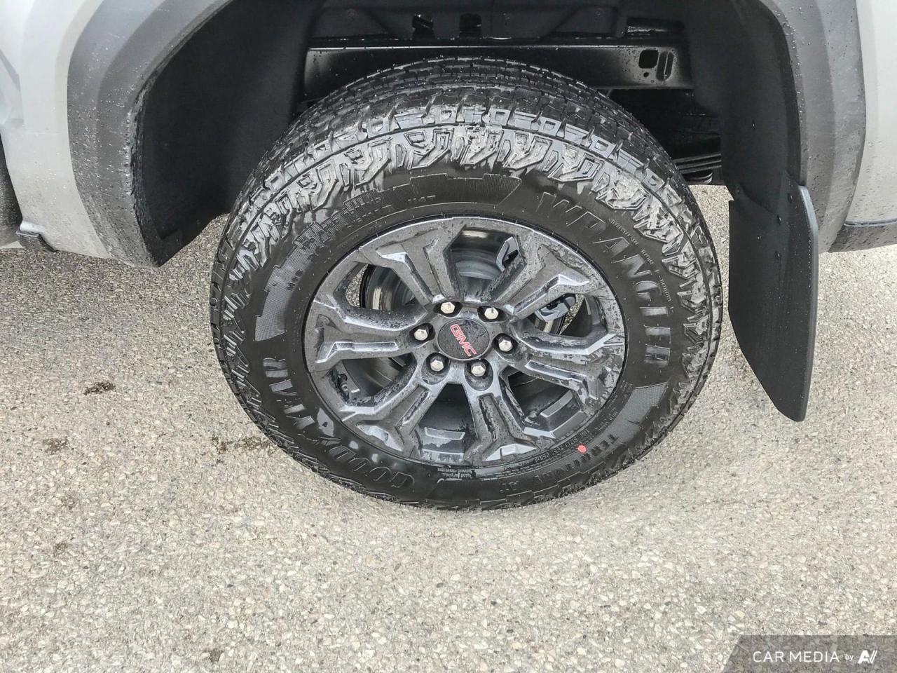 12385662