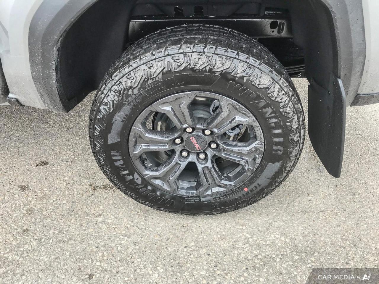 12385662