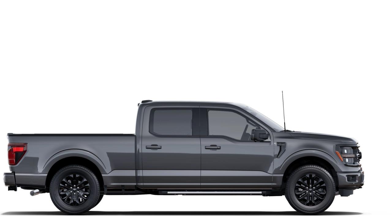 2025 Ford F-150 4x4 Supercrew-157 Photo4