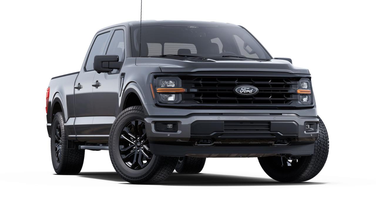 2025 Ford F-150 4x4 Supercrew-157 Photo3