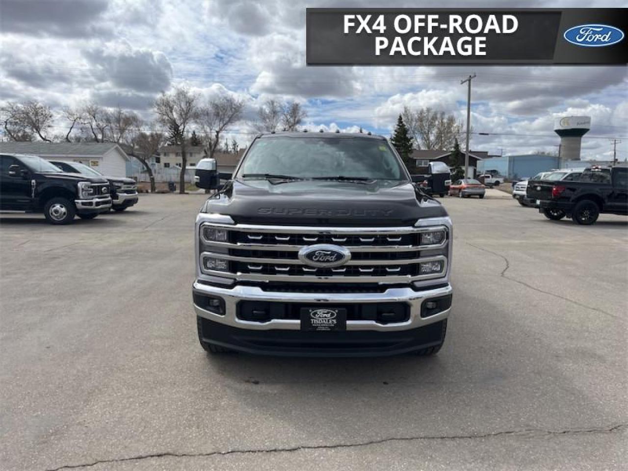 2025 Ford F-250 Super Duty LARIAT  - Tailgate Step Photo3