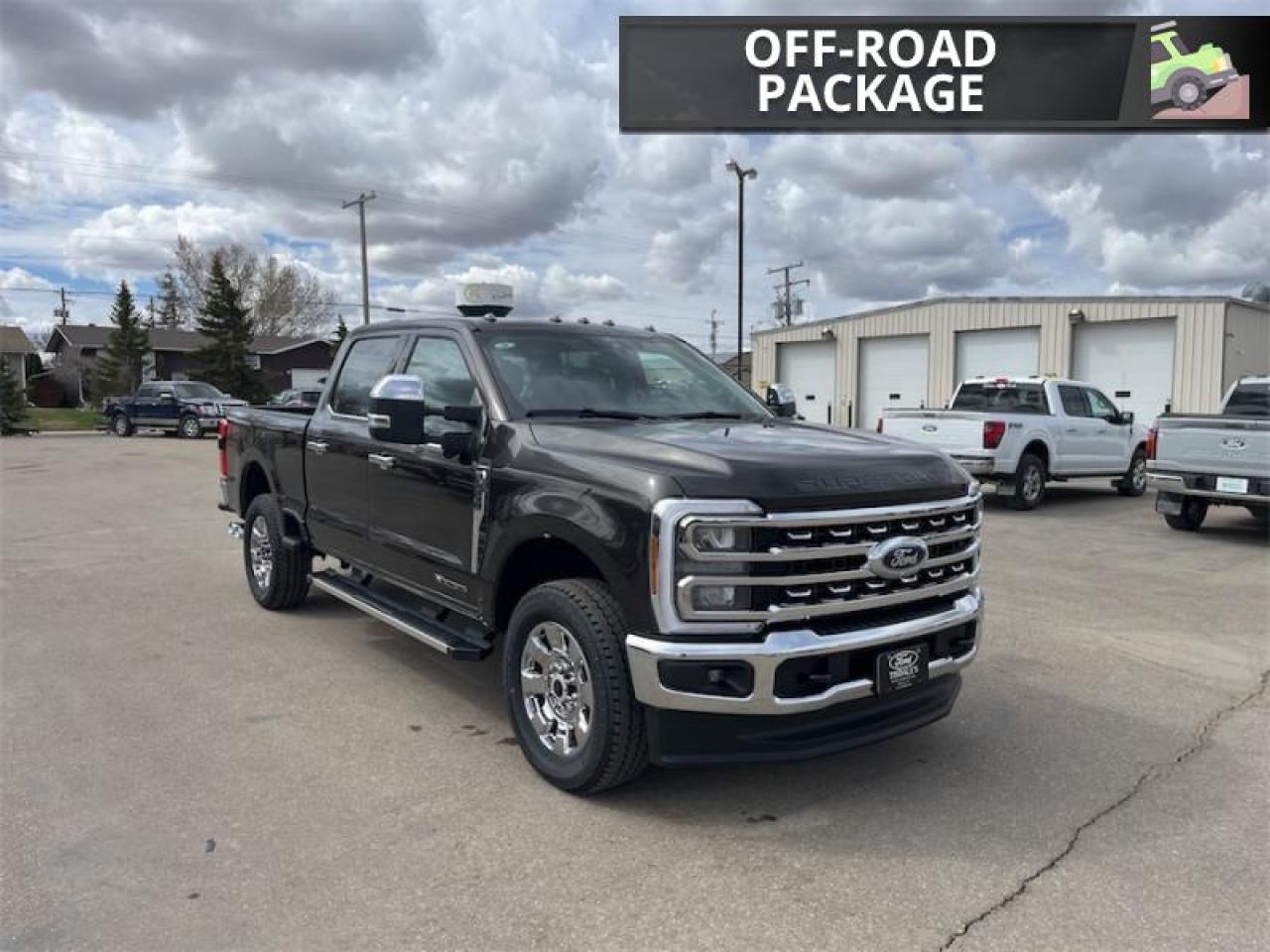 2025 Ford F-250 Super Duty LARIAT  - Tailgate Step Photo