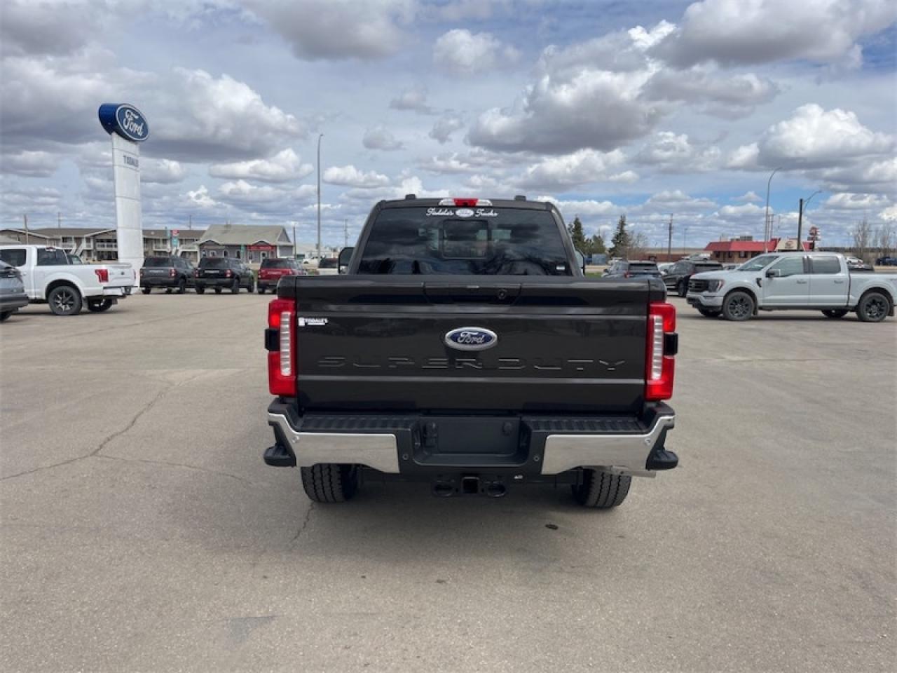 2025 Ford F-250 Super Duty LARIAT  - Tailgate Step Photo5