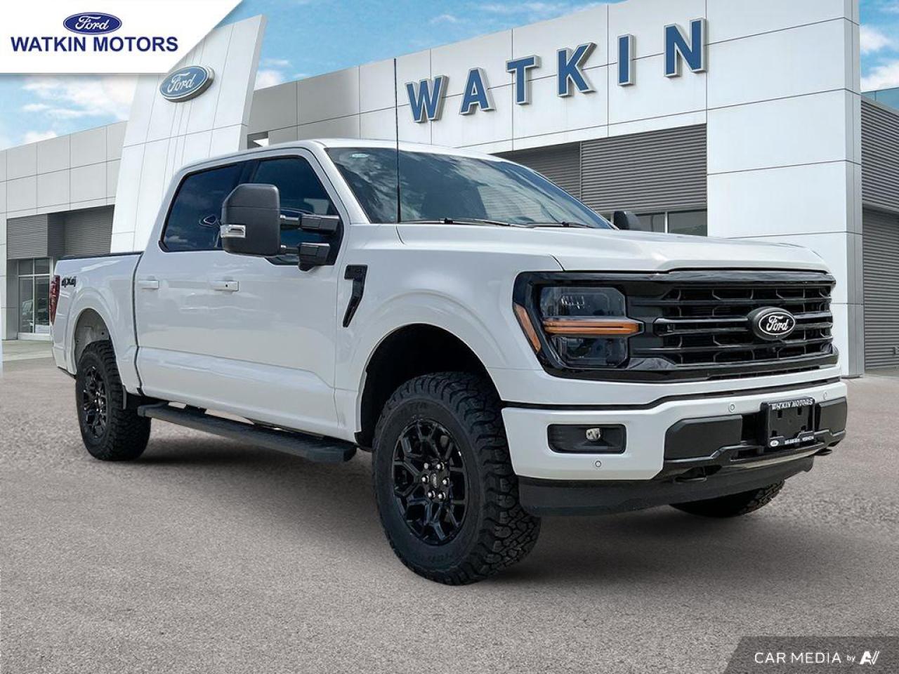 2025 Ford F-150 XLT Photo10