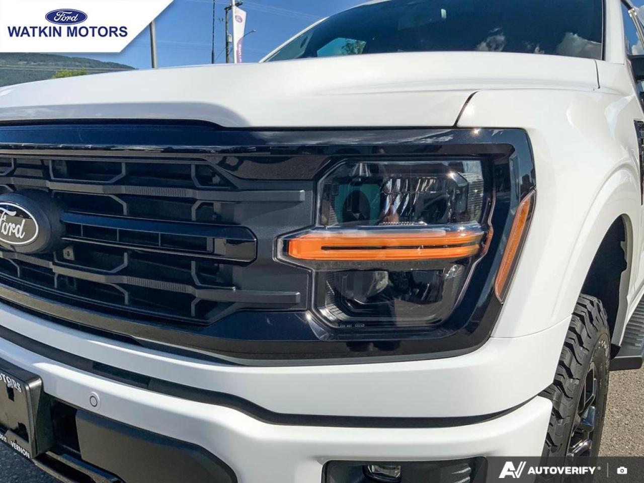 2025 Ford F-150 XLT Photo15