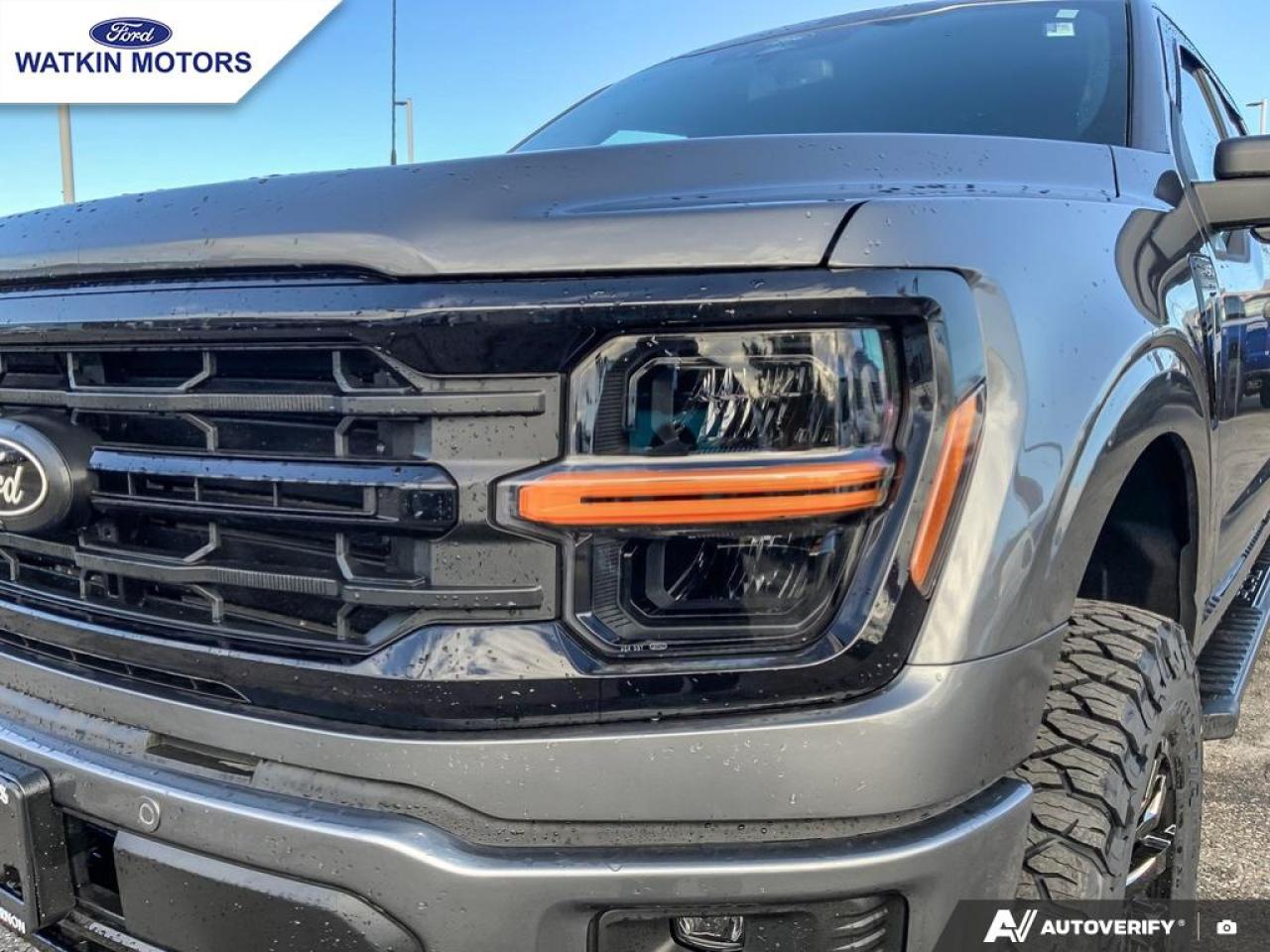 2025 Ford F-150 XLT Photo10