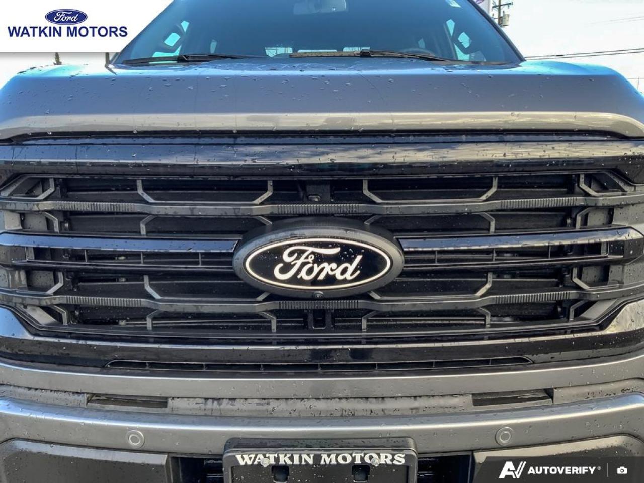 2025 Ford F-150 XLT Photo11