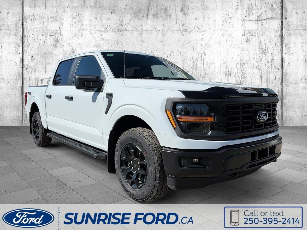 New 2024 Ford F-150 STX for sale in 100 Mile House, BC