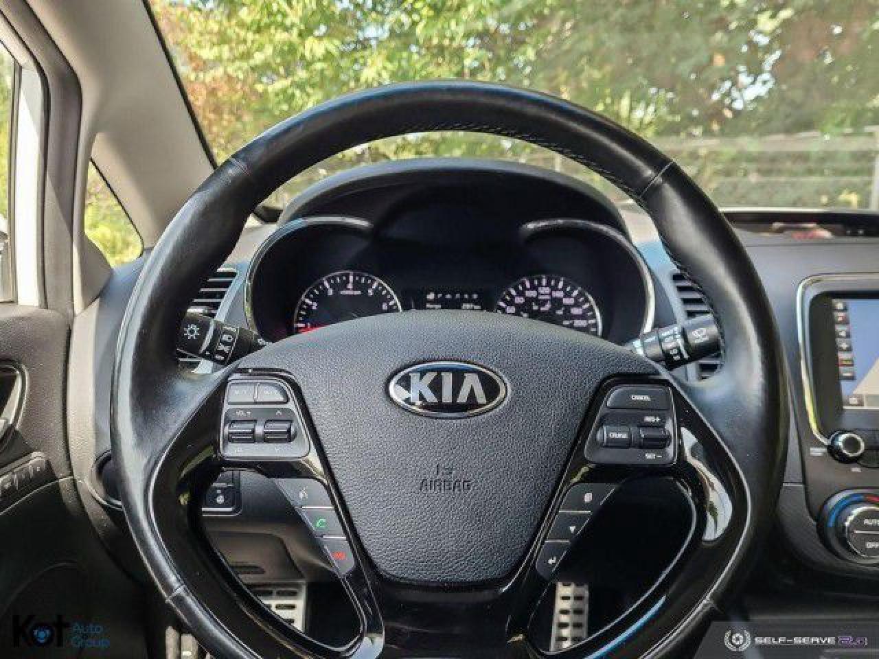12392529