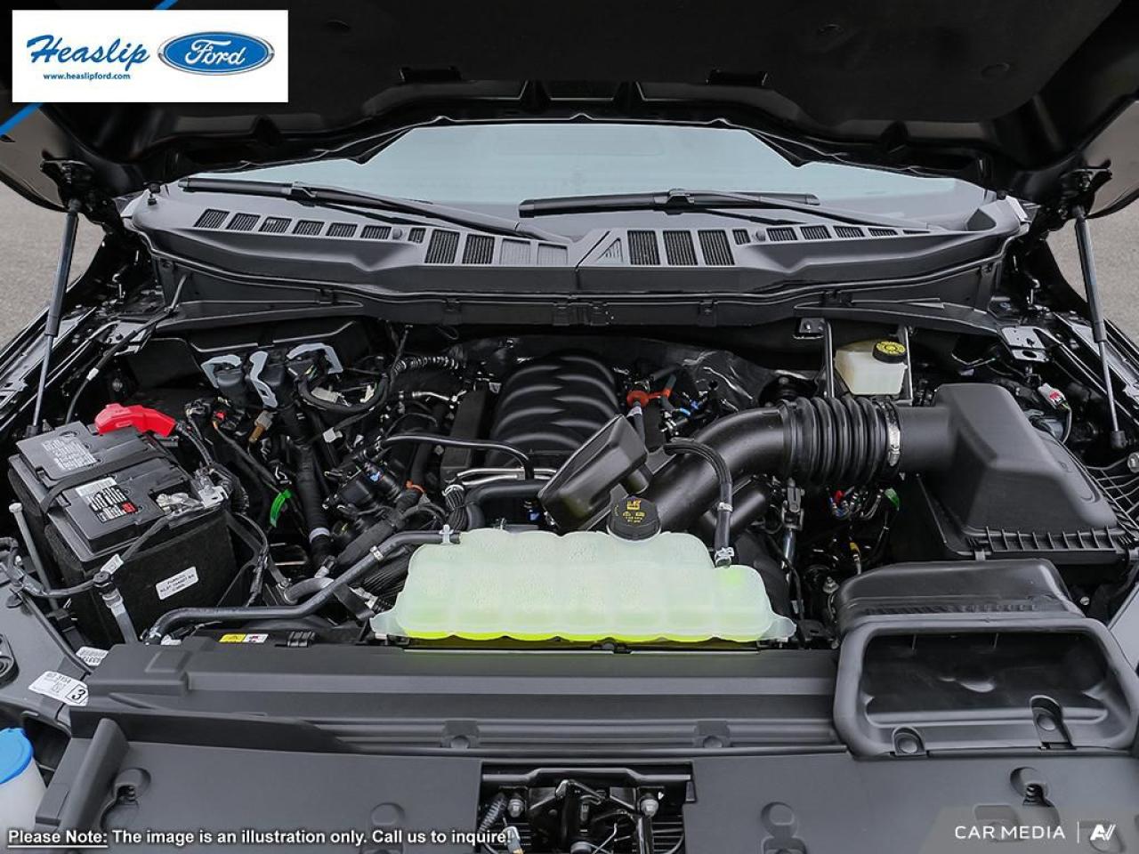 2025 Ford F-150 XLT Photo5