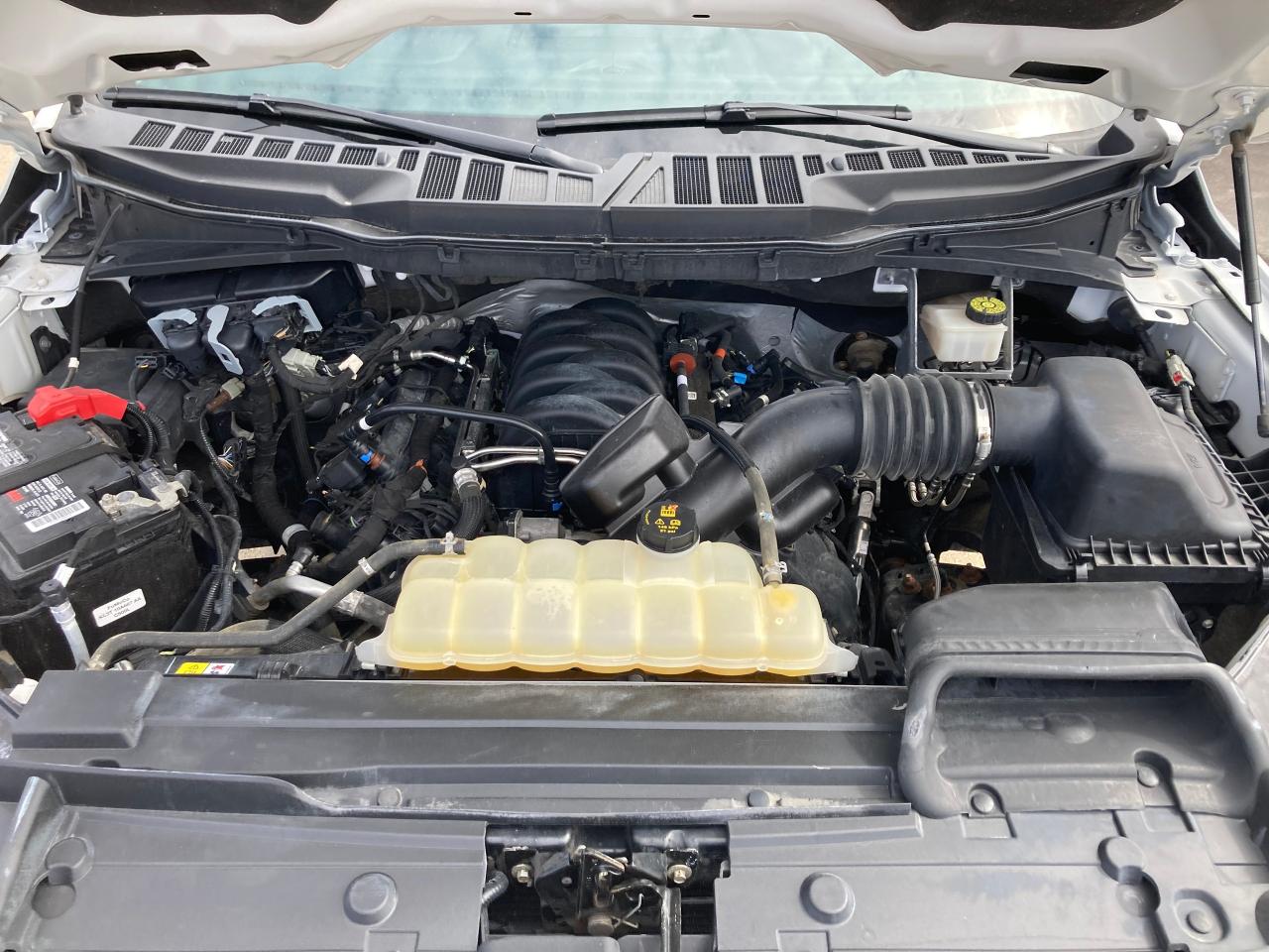 2021 Ford F-150 XLT 2WD Reg Cab 8' Box - Photo #19