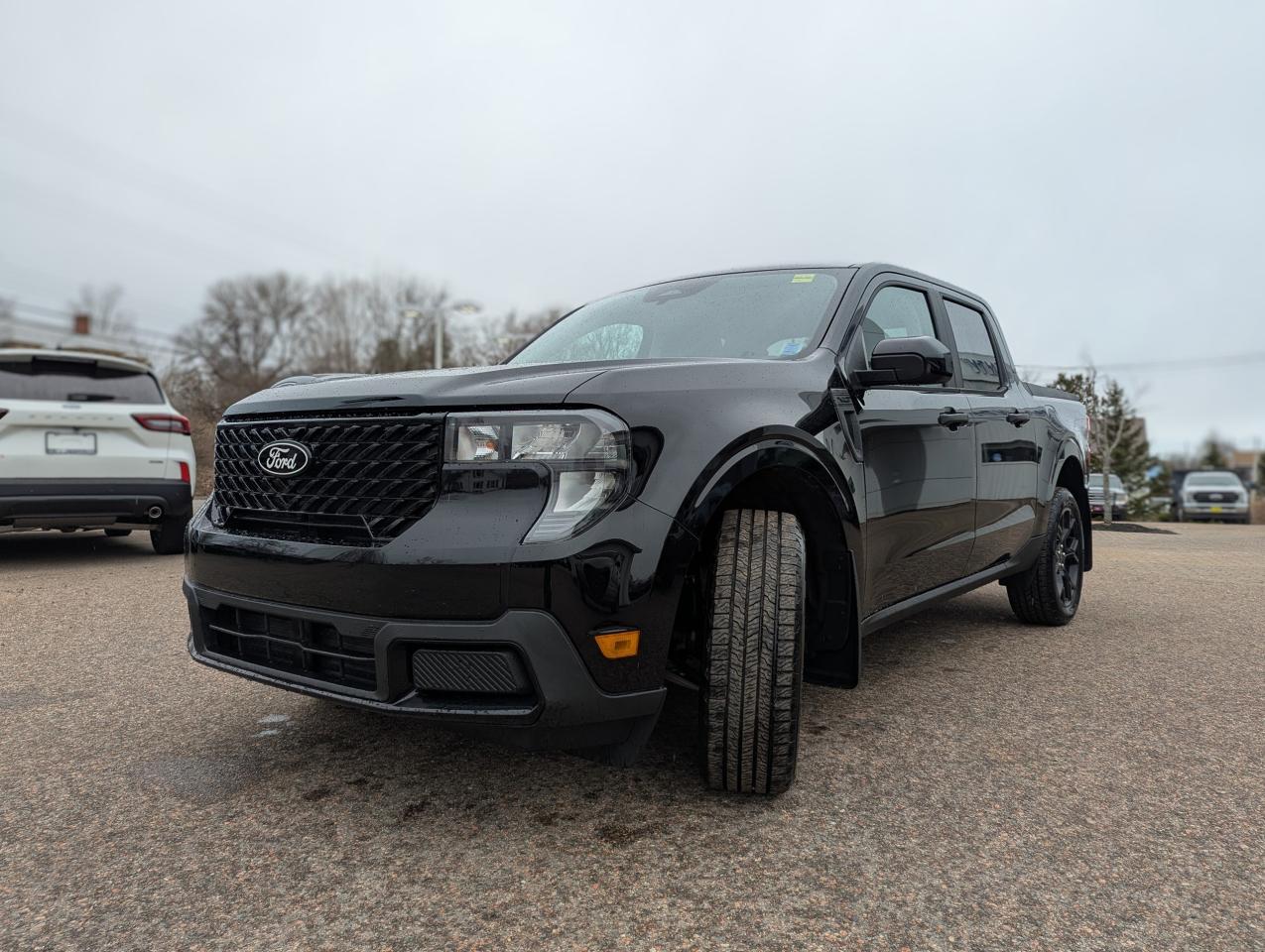 2025 Ford Maverick XLT Photo5