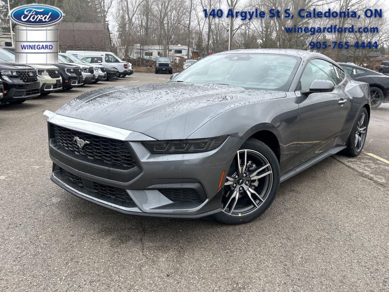 New 2025 Ford Mustang EcoBoost for sale in Caledonia, ON