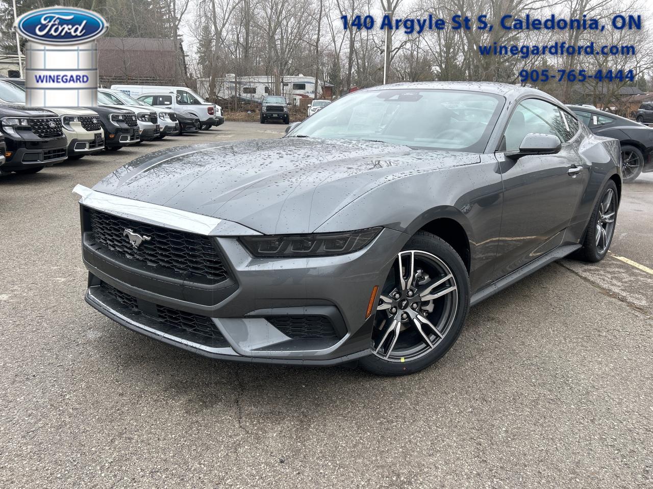 New 2025 Ford Mustang EcoBoost for sale in Caledonia, ON