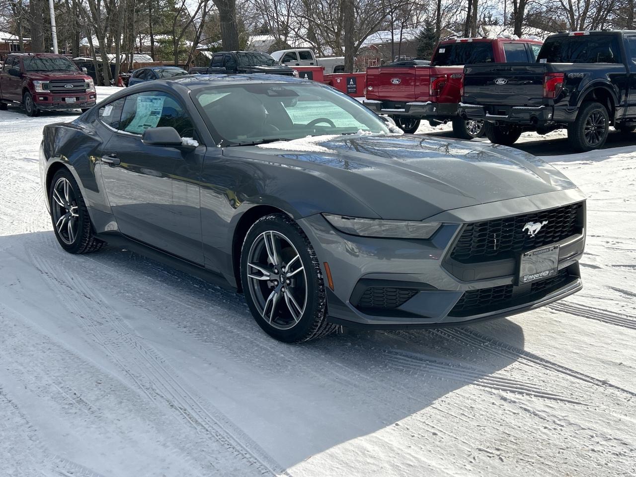 2025 Ford Mustang EcoBoost Photo2