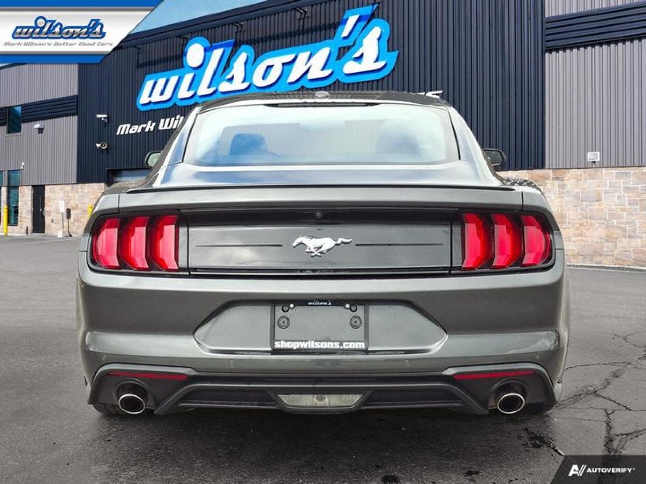 2020 Ford Mustang EcoBoost Premium Coupe | Manual | Leather | Nav | Cooled + Heated Seats | and More ! Photo3
