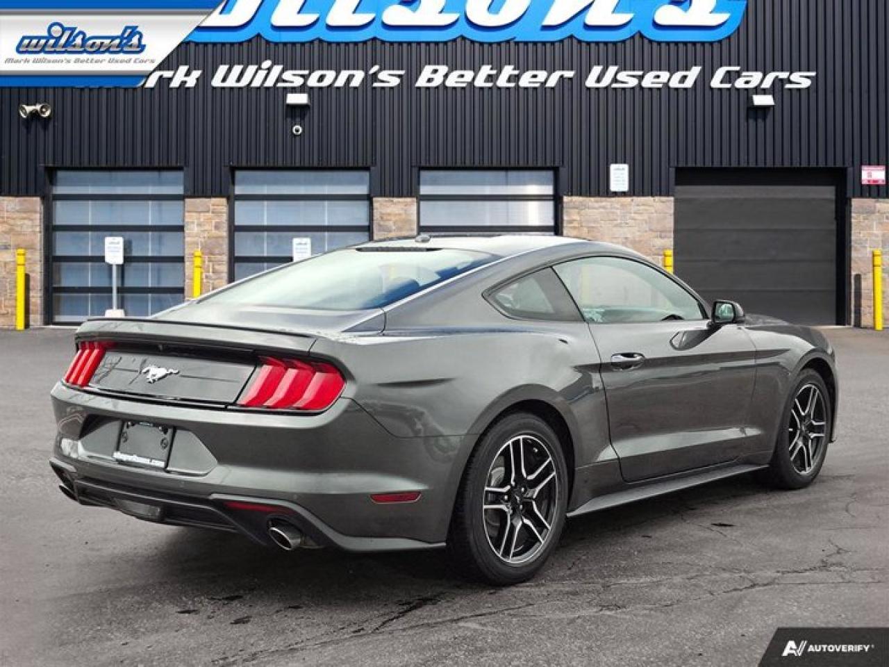 2020 Ford Mustang EcoBoost Premium Coupe | Manual | Leather | Nav | Cooled + Heated Seats | and More ! Photo4