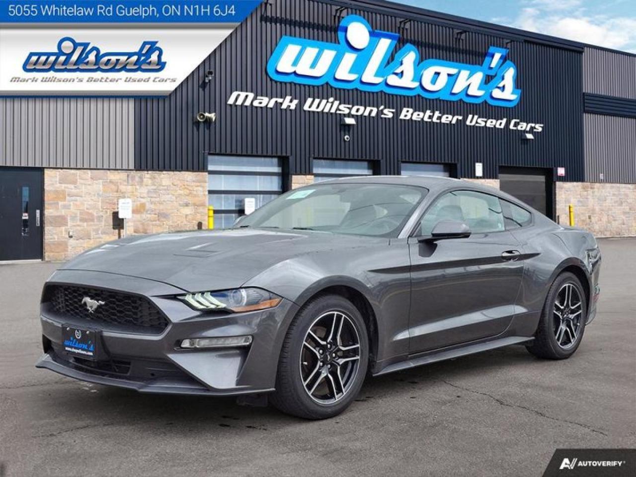 Used 2020 Ford Mustang EcoBoost Premium Coupe | 6-Speed Manual | Leather | Nav | Cooled + Heated Seats | and More ! for sale in Guelph, ON