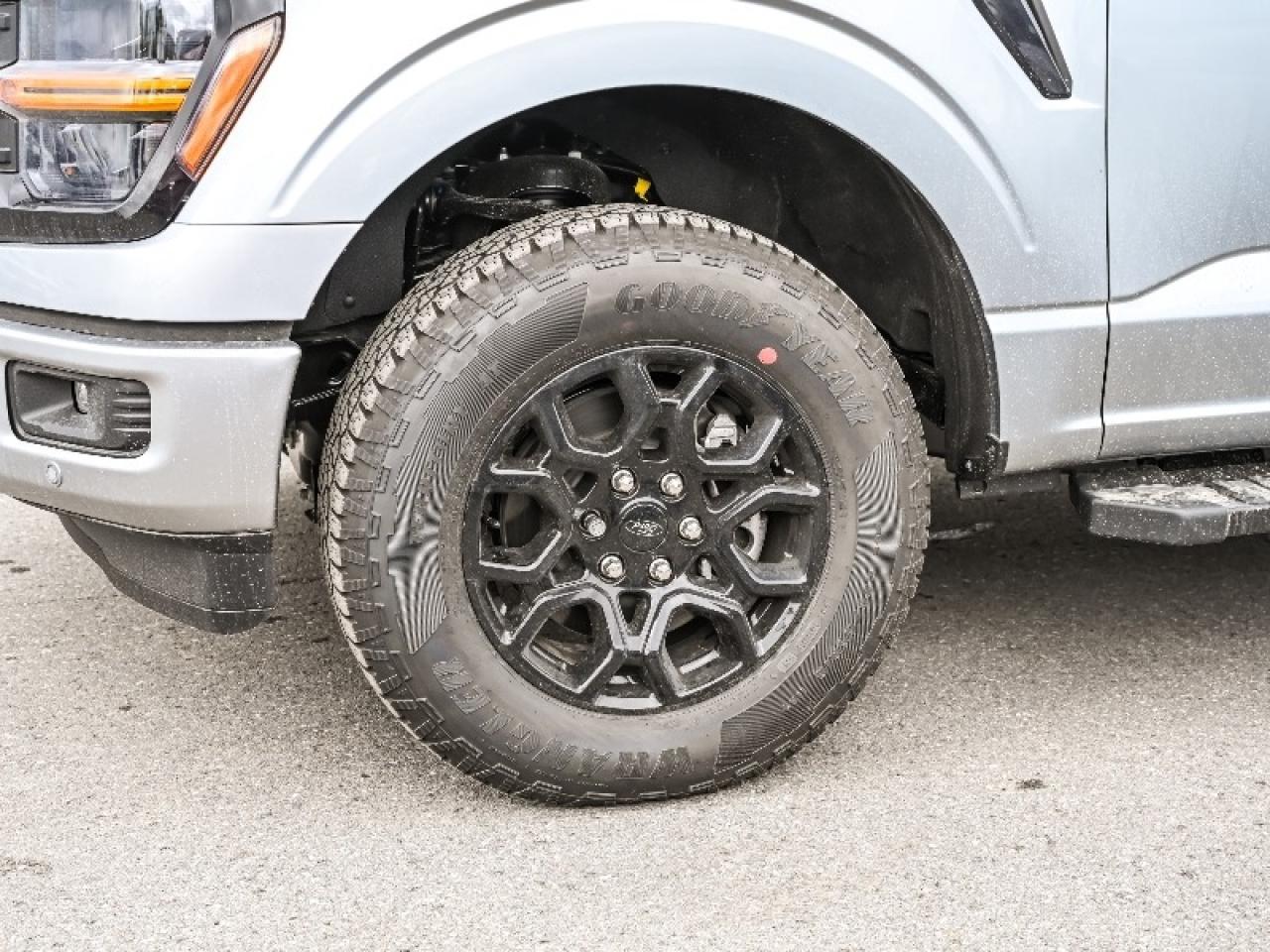 2025 Ford F-150 XLT Photo